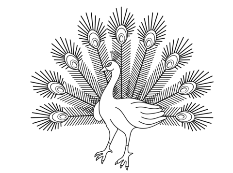 Cartoon Peacock Coloring Page